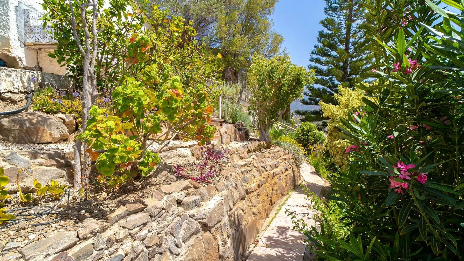 Mirador De Punta Lara By Casasol Villa Nerja Spanien